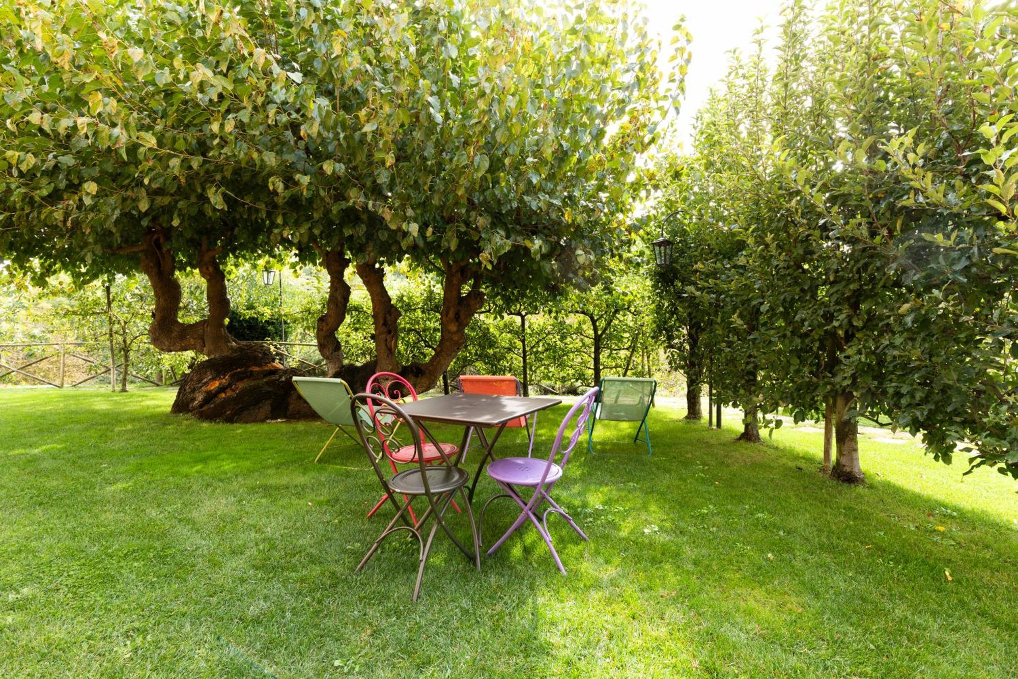 Agriturismo I Gelsi Di Santa Cristina Gubbio Exterior photo